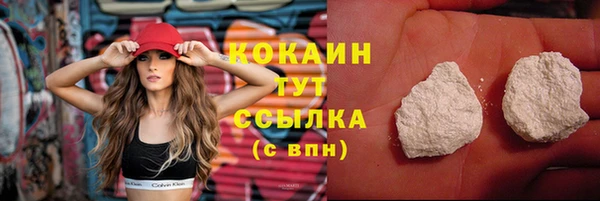 шишки Баксан