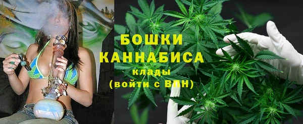 шишки Баксан